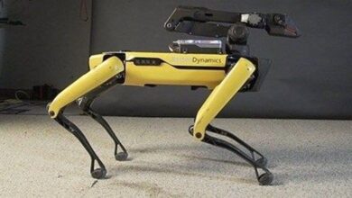 Photo of Njujorška policija testira ‘psa robota’ (mogao bi preuzeti dužnost 2021. godine)