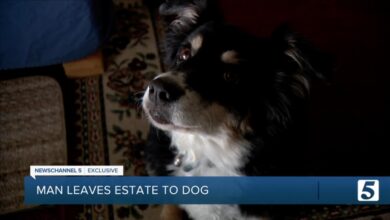 Photo of SAD: Poduzetnik u oporuci psu ostavio pet miliona dolara