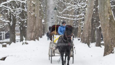 BiH: Zbog minusa u istočnoj i sjeverozapadnoj Bosni i istočnoj Hercegovini na snazi žuti meteoalarm Photo of BiH: Zbog minusa u istočnoj i sjeverozapadnoj Bosni i istočnoj Hercegovini na snazi žuti meteoalarm