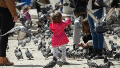 Photo of BiH: Za vikend sunčano i toplije