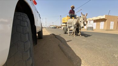 Teret i dalje na leđima životinja Photo of Teret i dalje na leđima životinja