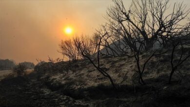Photo of Španija: Zbog požara 13 pokrajina proglašeno područjem katastrofe