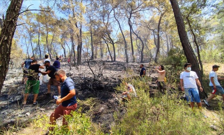 Ugašena tri požara u distriktu Kemer, u Antaliji