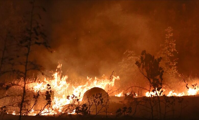 Požar koji je prijetio gradu Kočani stavljen pod kontrolu
