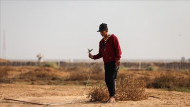 Photo of Pojas Gaze: Palestinci preživljavaju hvatajući ptice
                            
                                Pojas Gaze: Palestinci preživljavaju hvatajući ptice