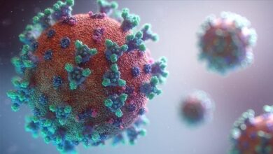 Photo of COVID-19 nije razvijen kao biološko oružje