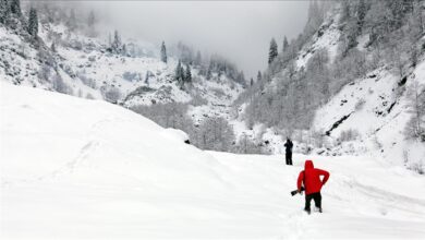 Photo of Austrija: U lavini smrtno stradale četiri osobe, jedna nestala
                            
                                Austrija: U lavini smrtno stradale četiri osobe, jedna nestala