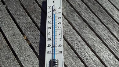 Photo of WMO: Toplotni udari bit će češći zbog klimatskih promjena