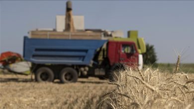Photo of Ukrajina: U lukama u Odesi čeka šest miliona tona žitarica