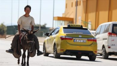 Photo of Japanski turista s magarcem proputovao Turkiye