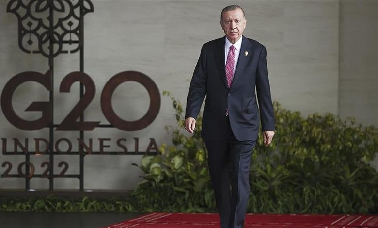 Erdogan: Turkiye će nastaviti da doprinosi G20