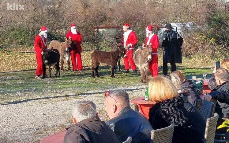 U Čapljini održana utrka Djeda Mrazova na magarcima