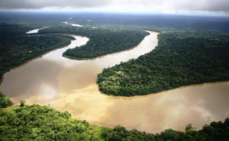 Amazon bilježi najveći nivo krčenja u posljednjih 15 godina