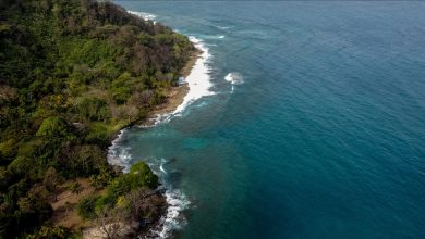 Photo of Svjetski dan okeana: Revitalizacija – Kolektivno djelovanje za okean