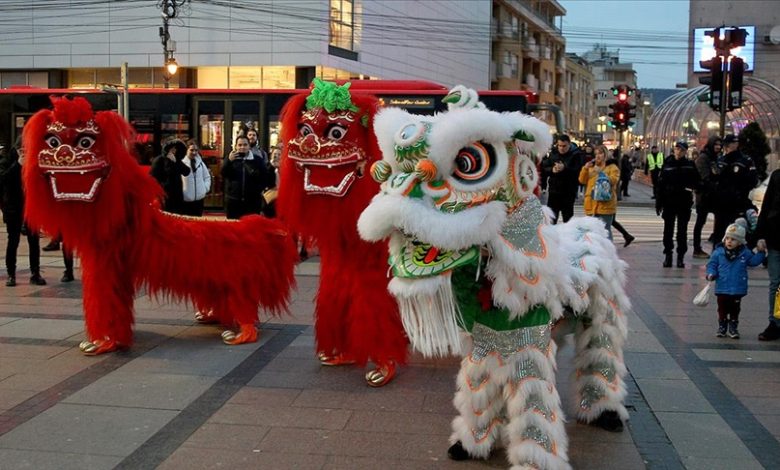 Kineski folklor i hrana oduševili građane