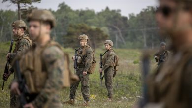 Photo of Švedska: Na Gotlandu u toku NATO vježba "Baltičke operacije 22"