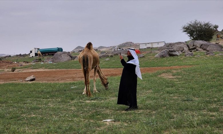 Nakon kiše: Zelenilo prekriva planine oko Mekke u Saudijskoj Arabiji Nakon kiše: Zelenilo prekriva planine oko Mekke u Saudijskoj Arabiji