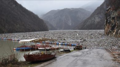 Photo of Ekološka katastrofa na Drini: Zajednički problem tri države mora biti riješen