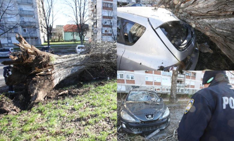 Olujni vjetar “divlja” širom regije, na “udaru” Zagreb, Beograd…. Olujni vjetar “divlja” širom regije, na “udaru” Zagreb, Beograd….