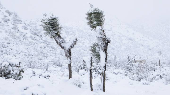 SAD: Zbog snježne oluje proglašeno vanredno stanje u Kaliforniji