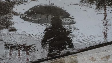 Photo of BiH: Narednih dana oblačno vrijeme sa kišom i temperaturama iznad nula stepeni