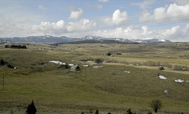 Selo Caričina kod Sjenice: Mjesto gdje su odmarale paše, age, carice i carevi, ali i dom ovaca, krava, konja i angusa