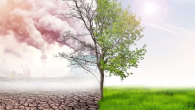 Photo of Inovacije iz Lactalisa za zaštitu prirodnih blaga naše planete