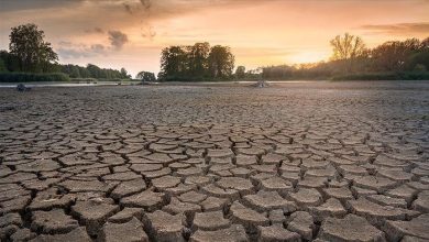 Photo of Negativan trend u klimatskim promjenama će se nastaviti do 2060-ih