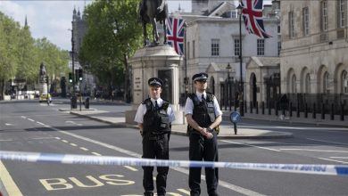 Photo of Uhapšena jedna osoba: Automobil udario u kapije Downing Streeta u Londonu
                            
                                Uhapšena jedna osoba: Automobil udario u kapije Downing Streeta u Londonu