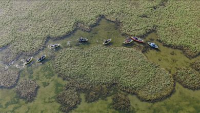 Photo of Turkiye: Delta Dilkaya plijeni pažnju prirodnim ljepotama