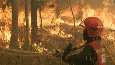 Photo of Španija: Usporeno napredovanje požara na La Palmi
                            
                                Španija: Usporeno napredovanje požara na La Palmi