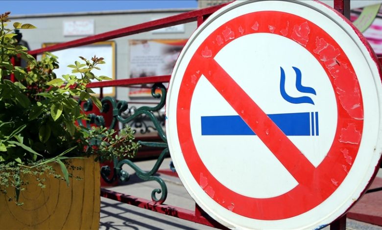 Njemačka planira zabraniti pušenje u automobilima s djecom i trudnicama