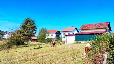 Photo of Napadi i zastrašivanje povratnika destabiliziraju situaciju u BiH