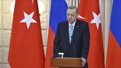Photo of Nakon otklanjanja nedostataka potrebno nastaviti dogovor o crnomorskom žitu