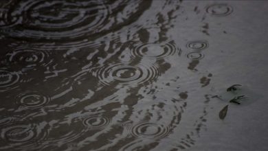 Photo of BiH: Oblačno s kišom, temperature zraka iznad prosjeka