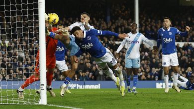 Photo of Everton i Palace podijelili bodove, timovi nastavljaju borbu za opstanak u Premiershipu