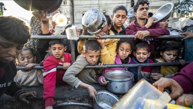 Photo of Vlada Palestine: Na sjeveru Pojasa Gaze više od 700.000 ljudi gladuje