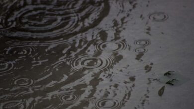 Photo of BiH: Danas oblačno s kišom, tokom vikenda smanjenje oblačnosti