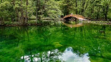 Photo of Spomenik prirode Vrelo Bosne: Prirodni biser u Sarajevu