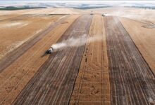 Photo of Izraelski napadi oštetili 22 posto usjeva u Libanu