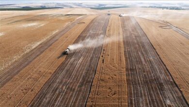Photo of Izraelski napadi oštetili 22 posto usjeva u Libanu