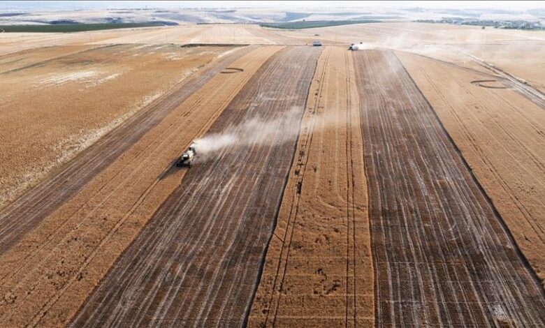 Izraelski napadi oštetili 22 posto usjeva u Libanu